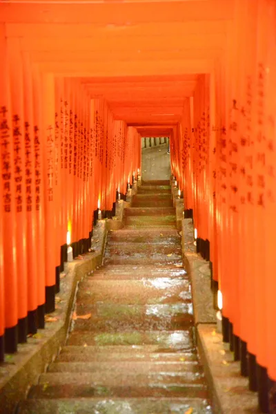 DSC_3212 (Large).JPG